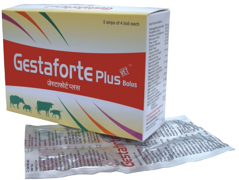 Gestaforte Plus