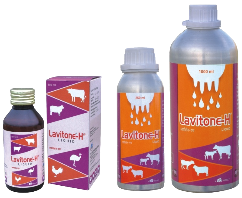 Lavitone-H
