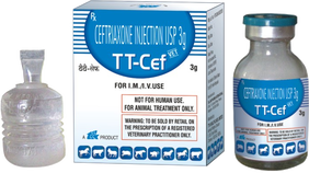 TT-CEF